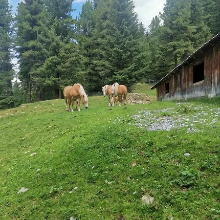 Pitztal Living Jerzens