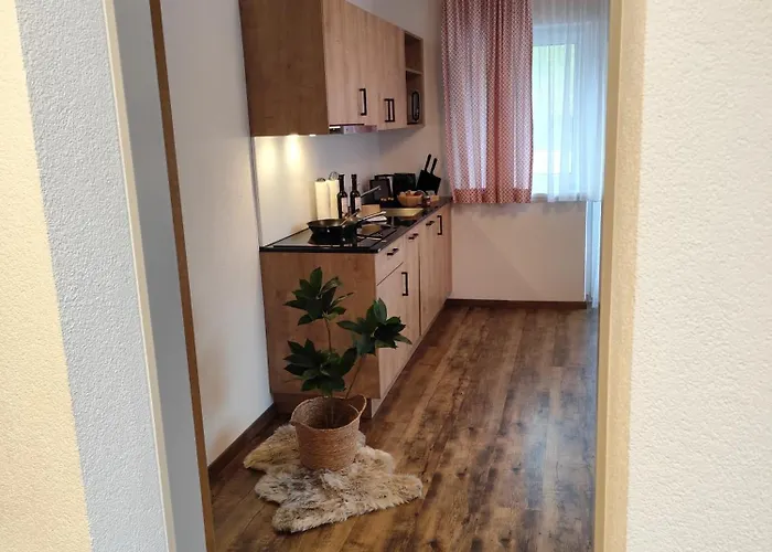 شقة فندقية Pitztal Living 3*